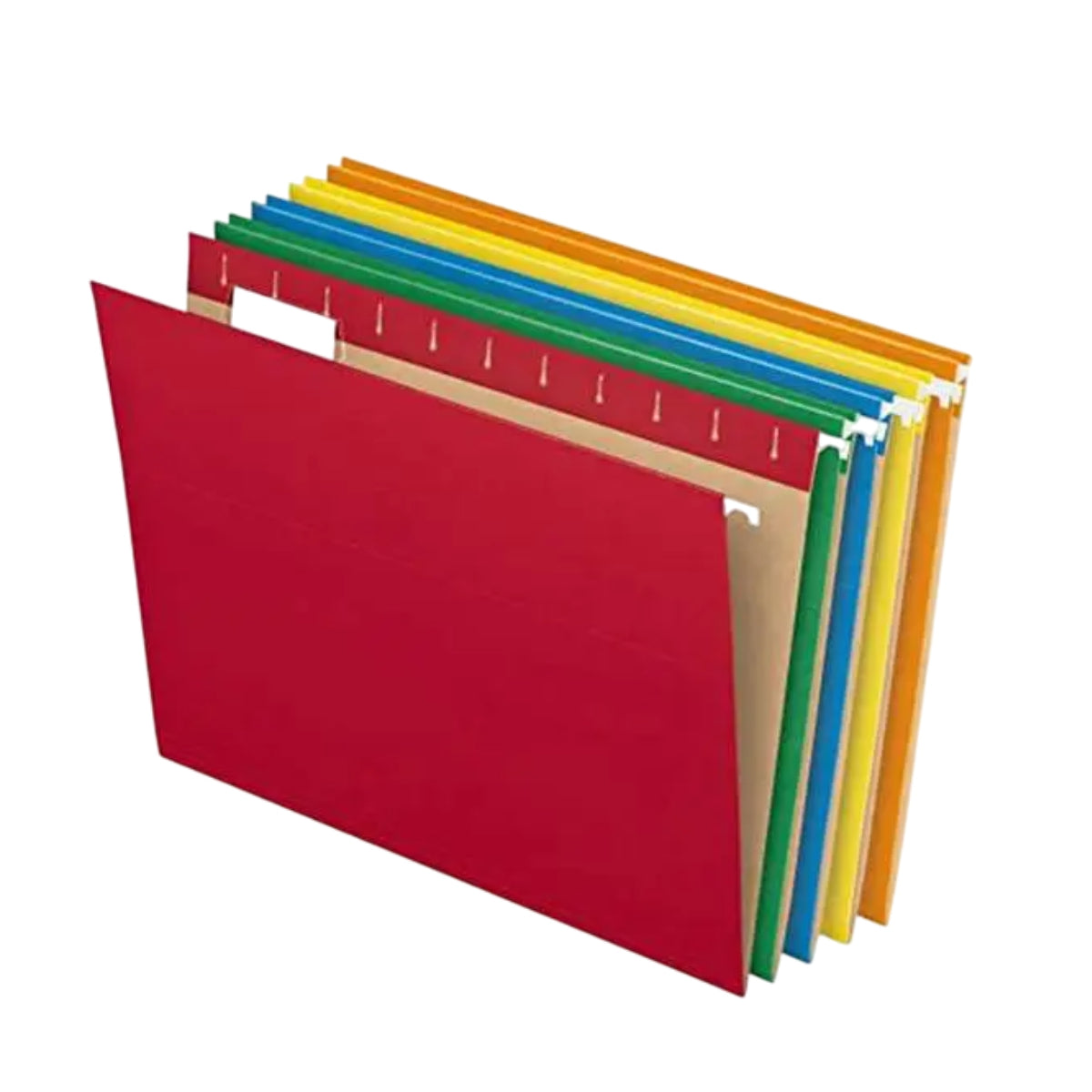 CARPETA COLGANTE PLASTIFICADA AVON